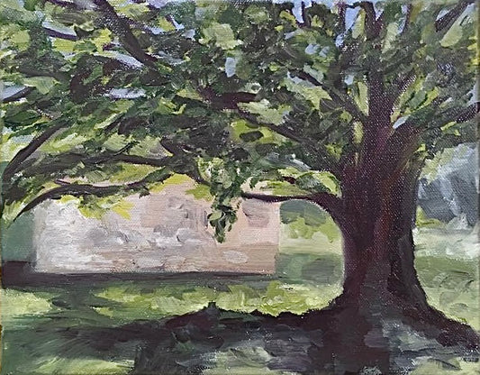In The Shade (2016)